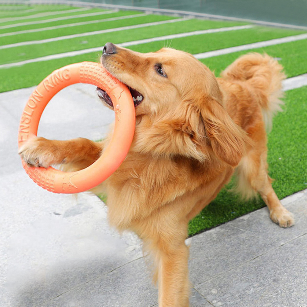 Suction Cup Dog Tug Toy - 1pc orange Hundes pielzeug Haustier fliegende