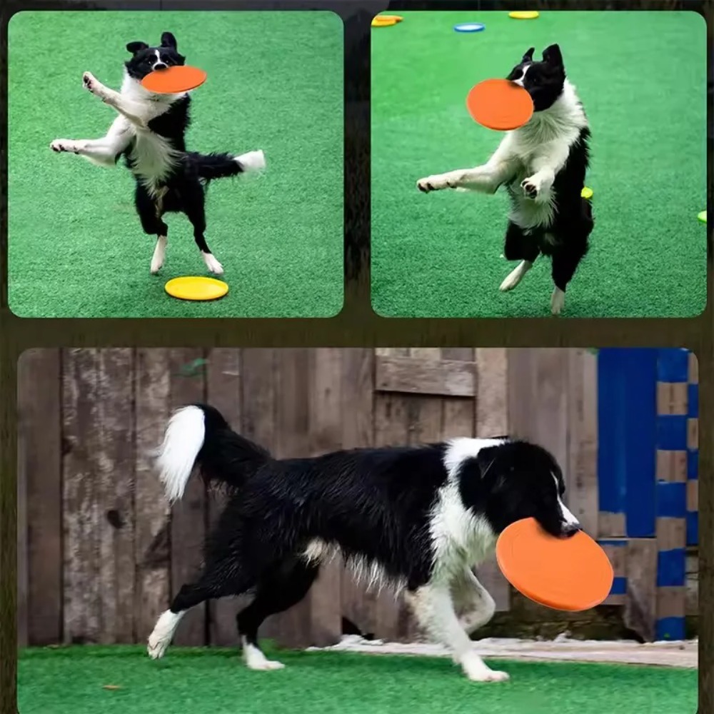 Flying Disc Dog Training Toy - Hunde-Flugscheibe aus TPR, Interaktives Trainingsspielzeug, Schwimmende