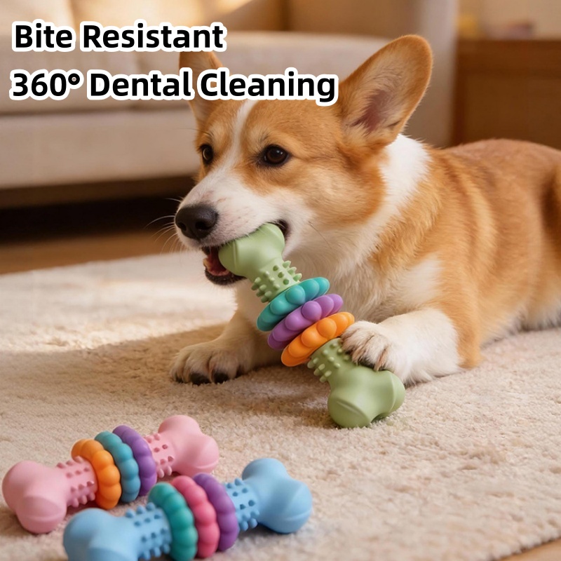 Teeth Cleaning Dog Chew Bone - Langlebiges TPR-Hundekauknochen-Spielzeug, bissfest, zur Zahnreinigung, Welpen-Zahnungsspielzeug