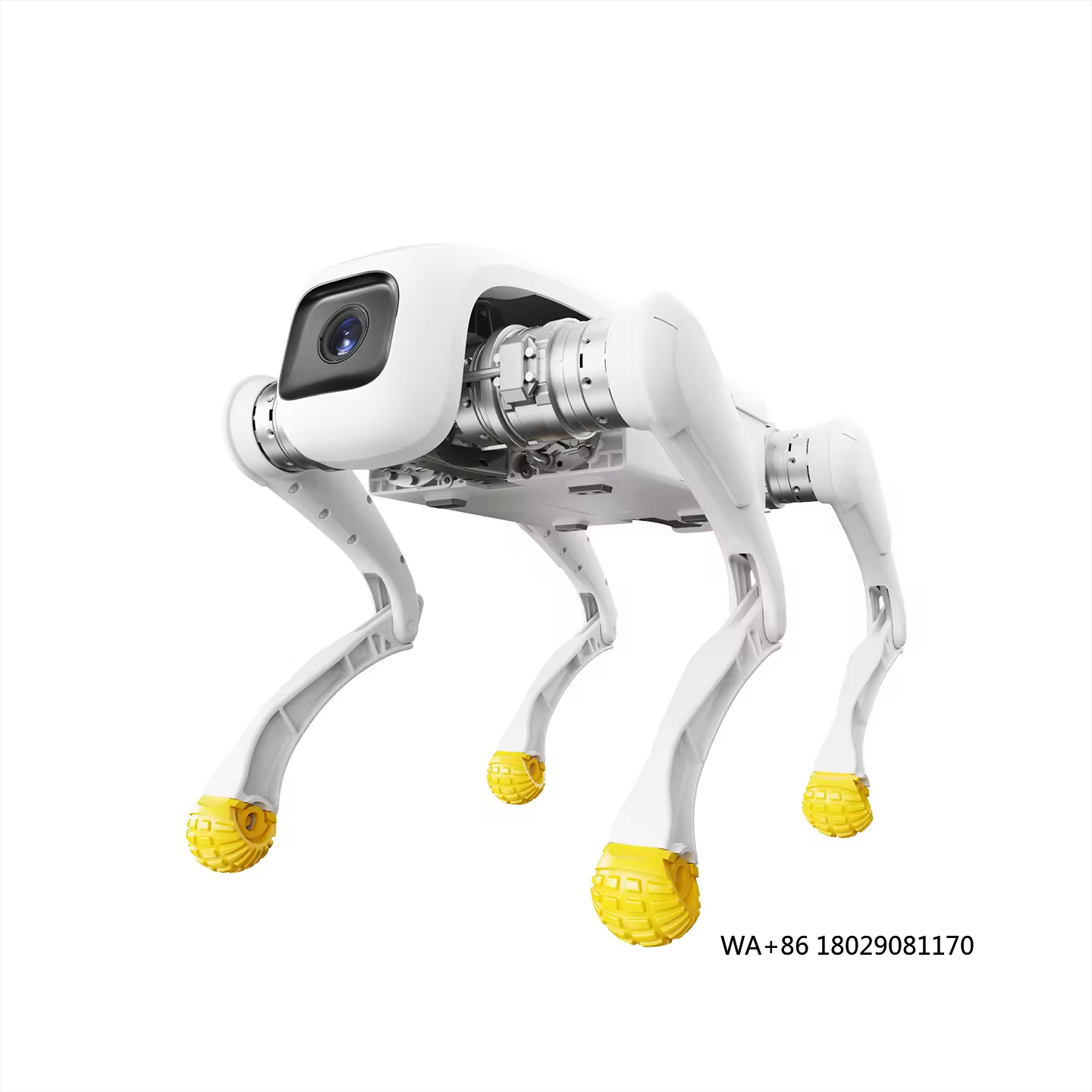 Dog Toys - Design Dog Robot AI Elektronisches Roboterspielzeug
