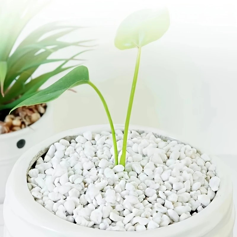 Pet Beds - 1L hochwertige Perlit-Suckulenten-Orchideen-Universalpflanzenbodenpflaster, dekorative Verwendung, Pflanzgefäßoberflächenpflaster,