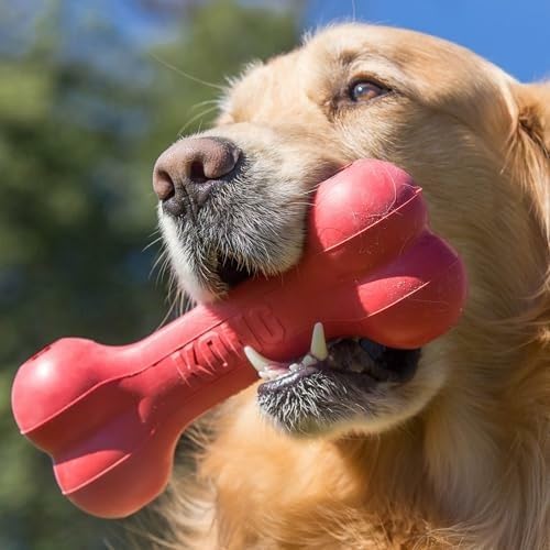 Rubber Treat Dispensing Dog Toy - Klassischer Langlebiger Naturkautschuk-Hundeknochen, Fördert Geistige Beschäftigung