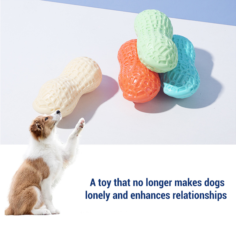 Teeth Cleaning Dog Chew Bone - Quietschende Erdnuss-Knochen-Hundekauartikel: Robuste, bissfeste Gummi-Zahnpflegespielzeuge für
