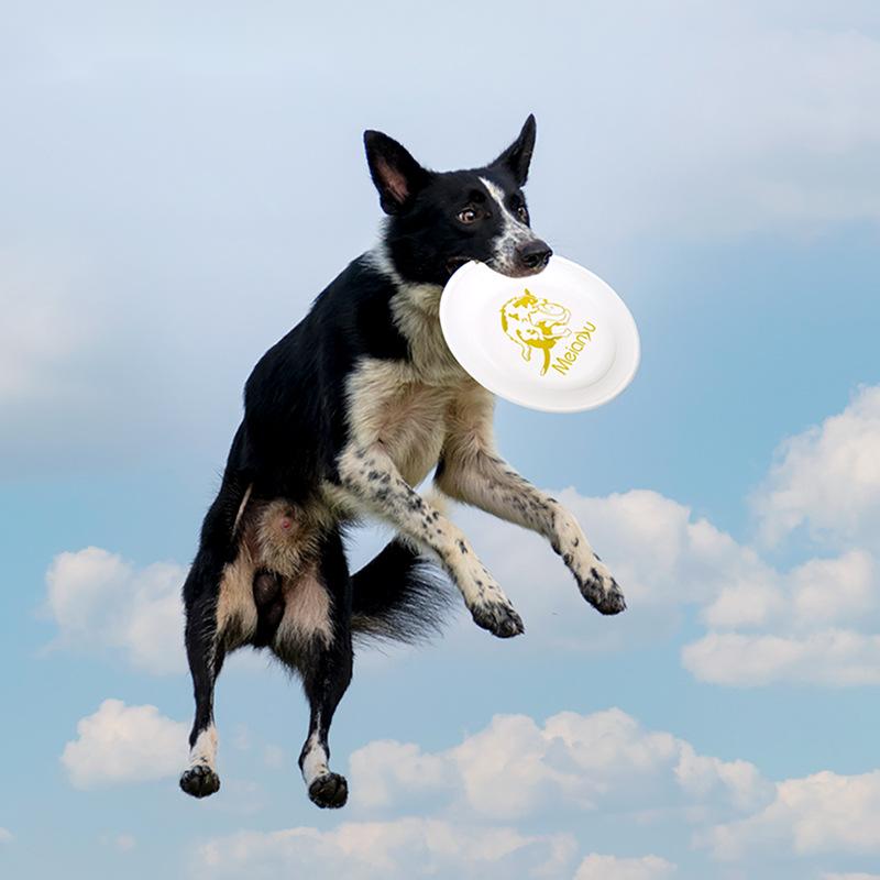 Flying Disc Dog Training Toy - Ouzey Biss resistente Haustier Training Flugs