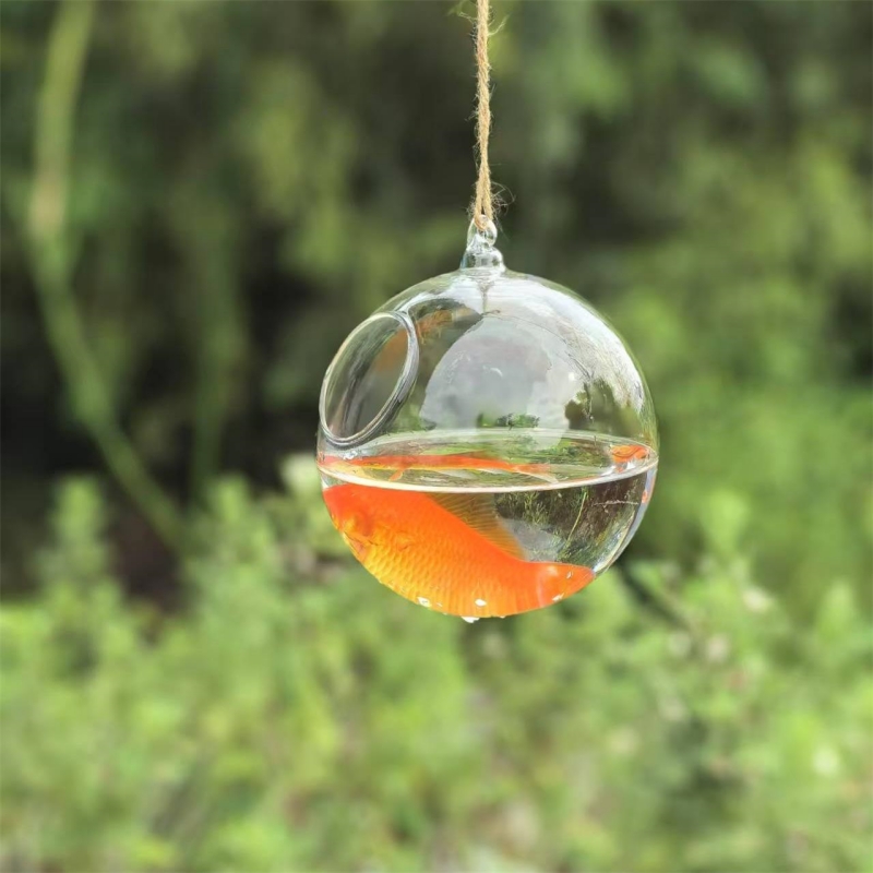 Aquarium - Kleiner Verpackungsdurchmesser=10cm 12cm 15cm 20cm Transparentes