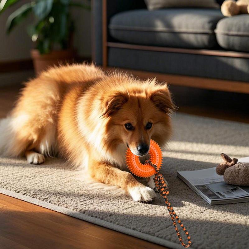 Dog Rope Toy Aggressive Chewers - Quietschendes Spielzeug für Hunde, stacheliger Ring