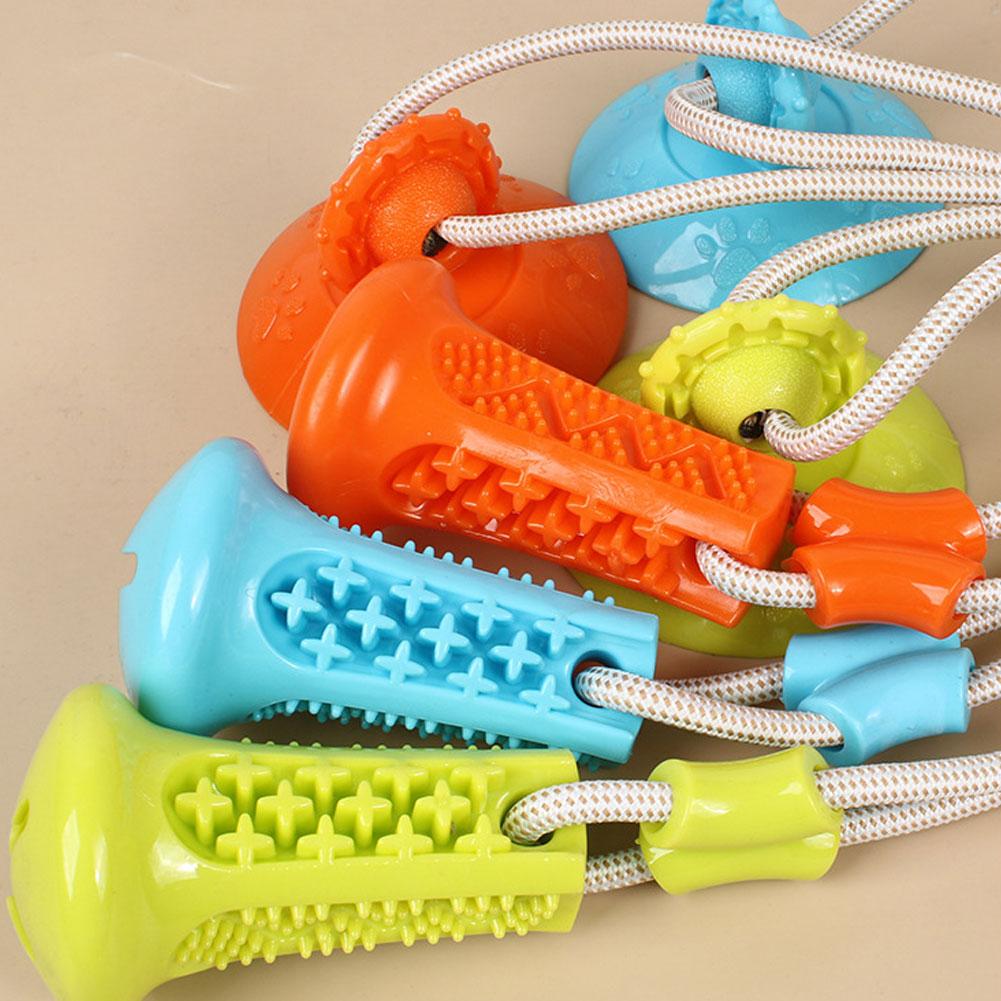 Saugnapf-Hundespielzeug Intera – Suction Cup Dog Tug Toy Bewertung und Preis