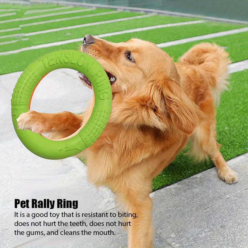 Hunde training Spielzeug Outdo – Flying Disc Dog Training Toy Bewertung und Preis