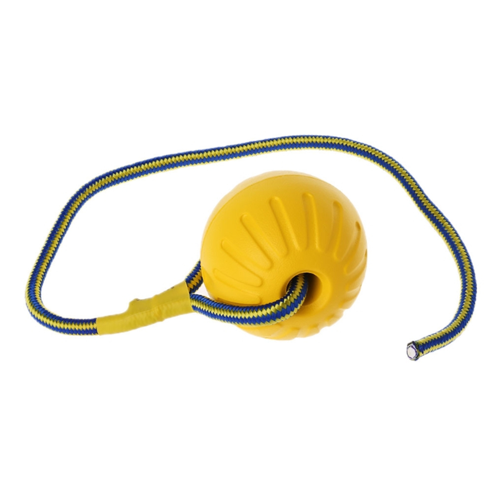 Hundespielzeugball mit Seil, O – Suction Cup Dog Tug Toy Bewertung und Preis
