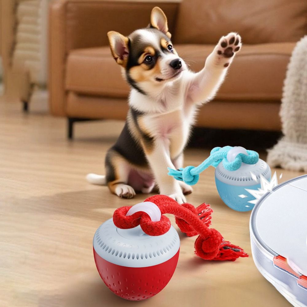 Bissresistenter Intelligenter  – Automatic Moving Dog Ball Bewertung und Preis