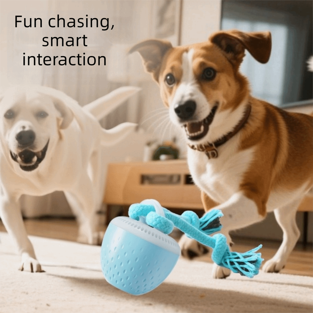 Bissresistenter Intelligenter  – Automatic Moving Dog Ball Bewertung und Preis