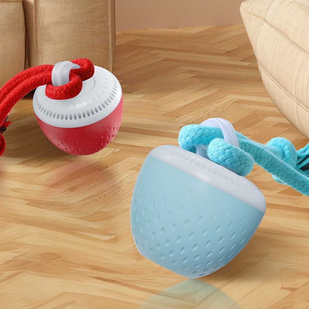 Bissresistenter Intelligenter  – Automatic Moving Dog Ball Bewertung und Preis