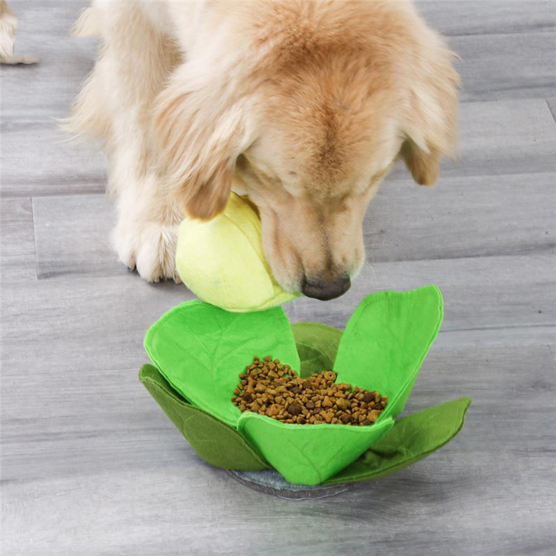 Haustier Hund Snuffle Matte Pe – Snuffle Mat For Dogs Bewertung und Preis