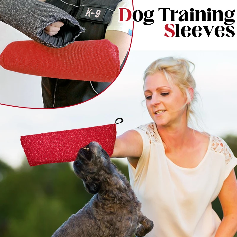 Hundetrainingshülsen Welpen be – Interactive Squeaky Plush Dog Toy Bewertung und Preis