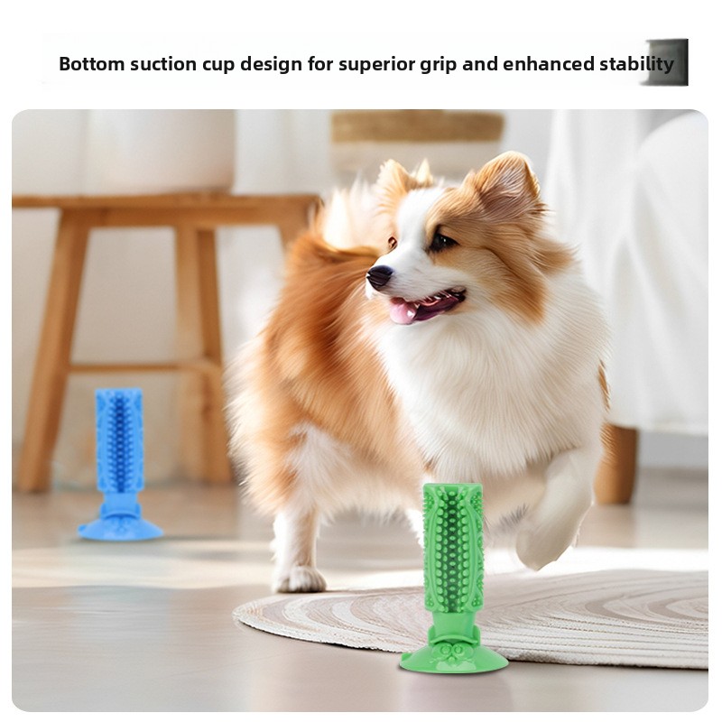 Hundezahnreinigungs-Kauspielze – Teeth Cleaning Dog Chew Bone Bewertung und Preis