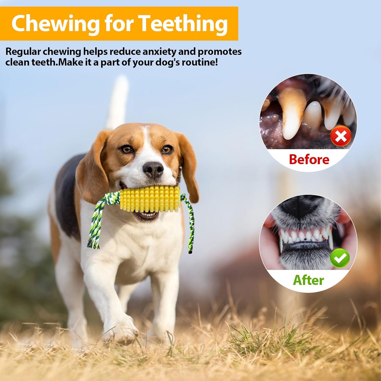 Maisförmiges Kauspielzeug für  – Dog Rope Toy Aggressive Chewers Bewertung und Preis