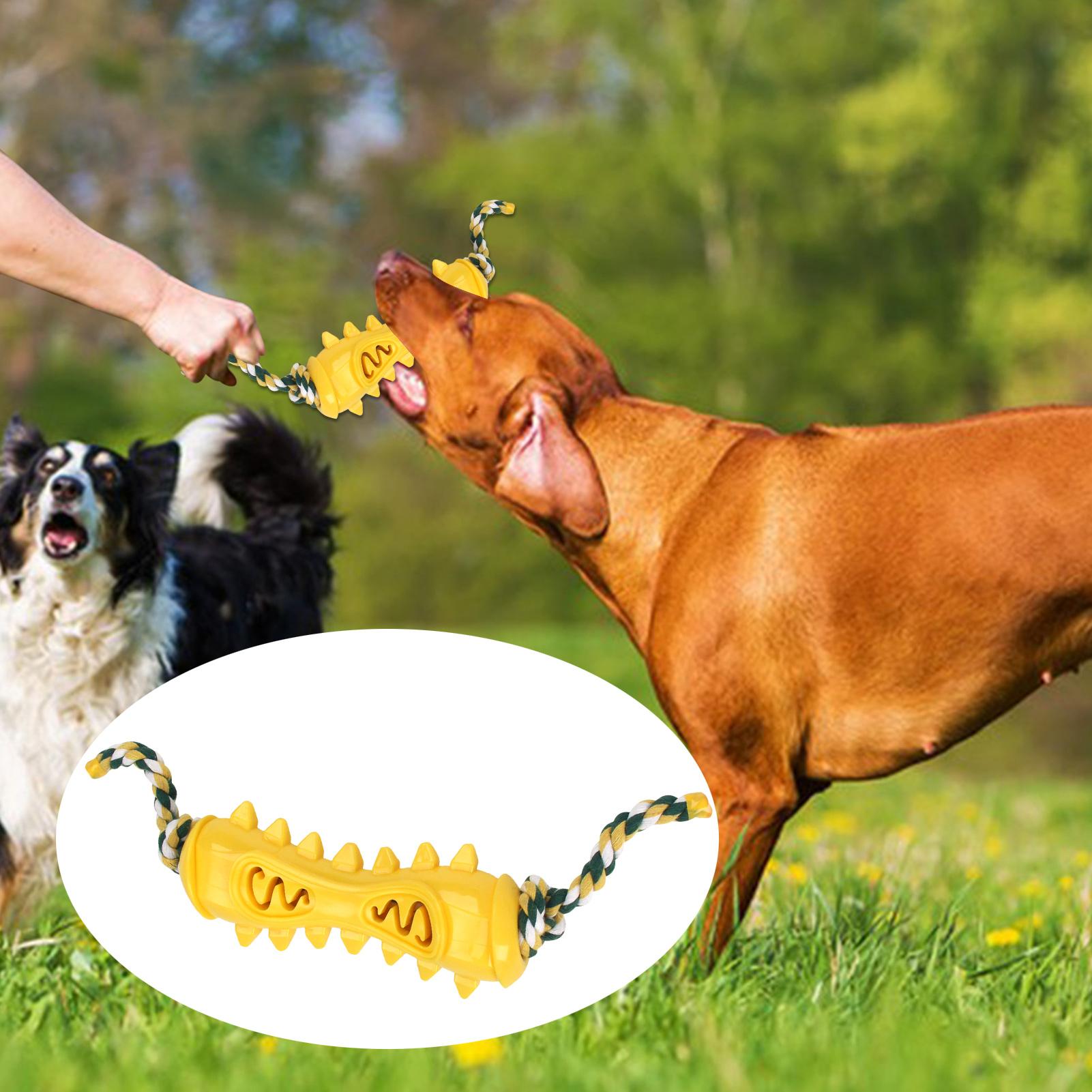 Kauspielzeug für aggressive Ka – Dog Rope Toy Aggressive Chewers Bewertung und Preis
