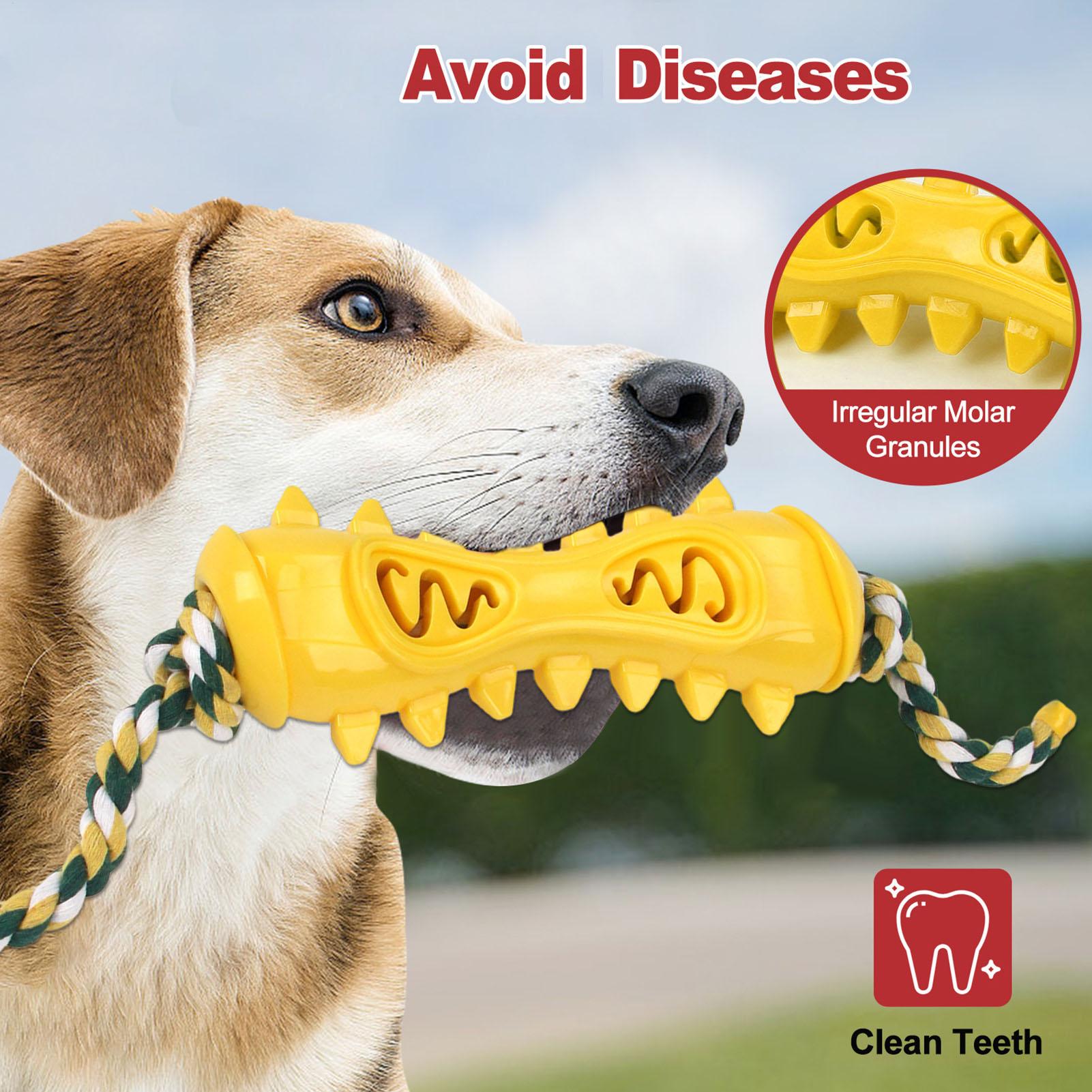 Kauspielzeug für aggressive Ka – Dog Rope Toy Aggressive Chewers Bewertung und Preis