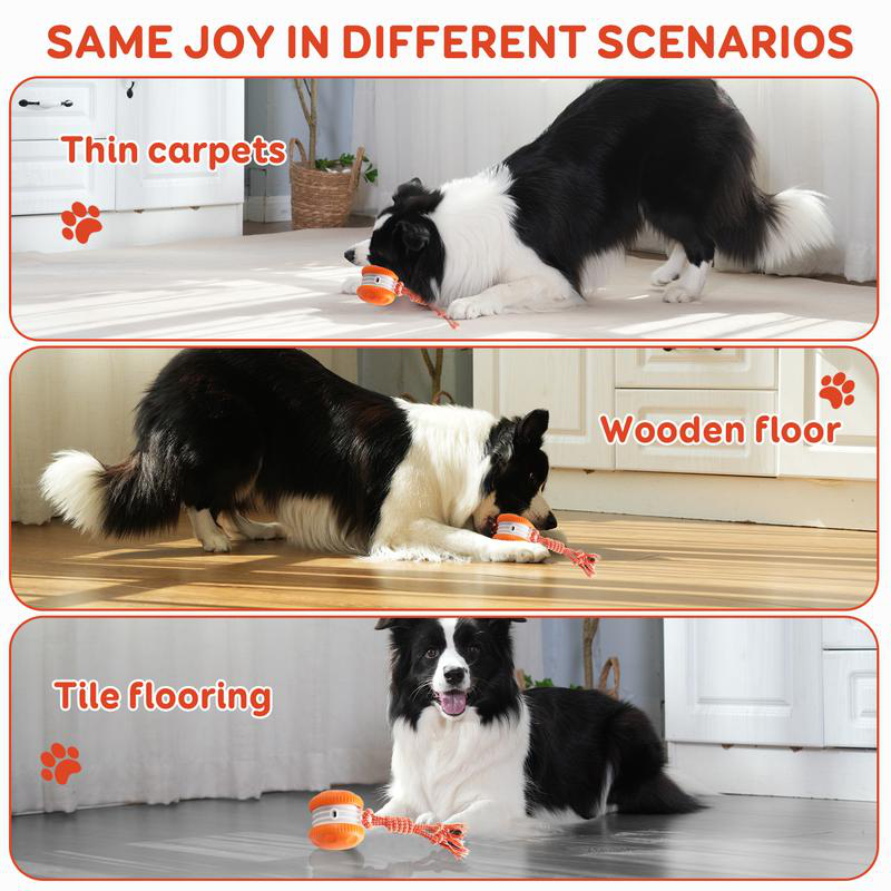 Intelligenter Elektrischer Int – Automatic Moving Dog Ball Bewertung und Preis
