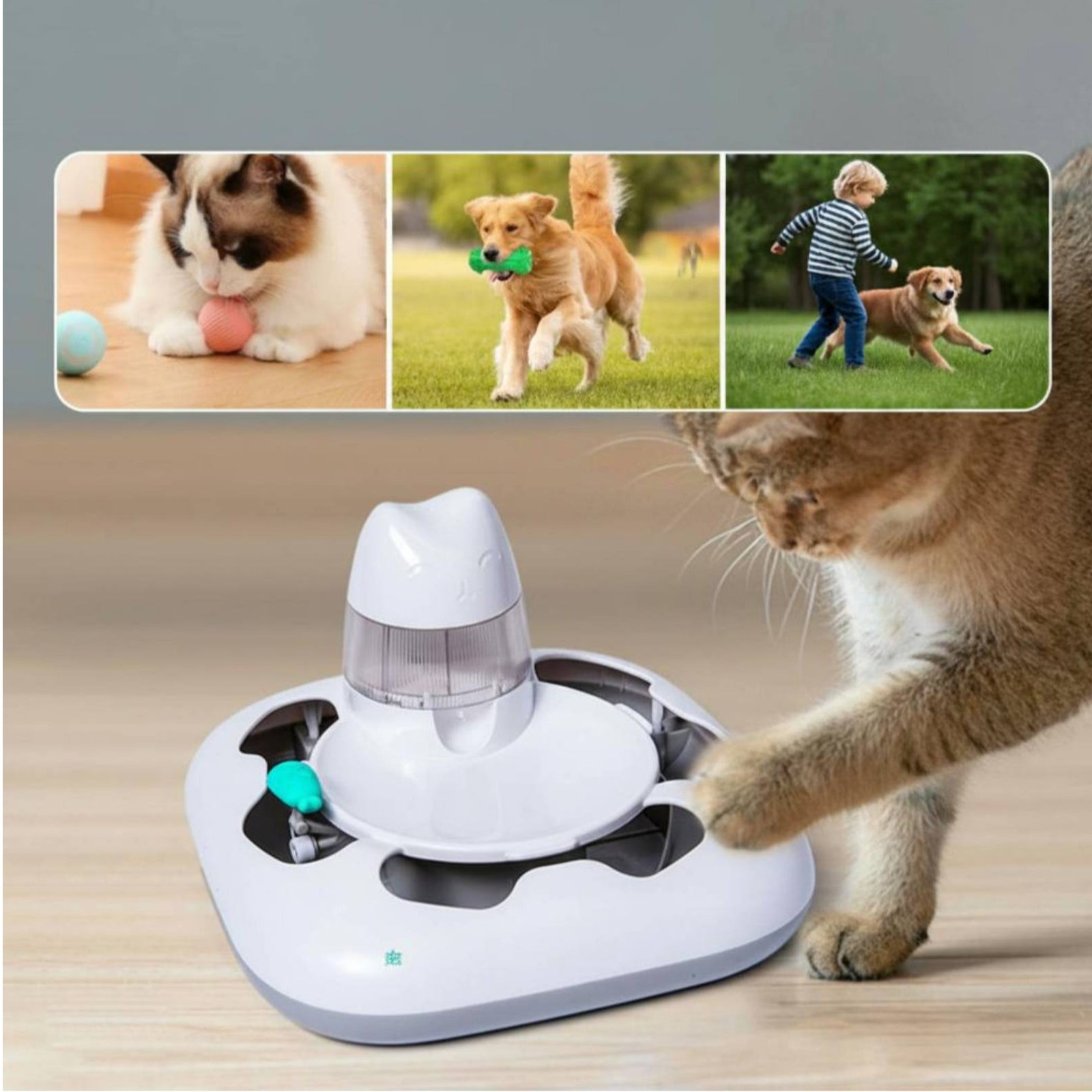Interaktive Katzenspielmaschin – Cat Toys Bewertung und Preis