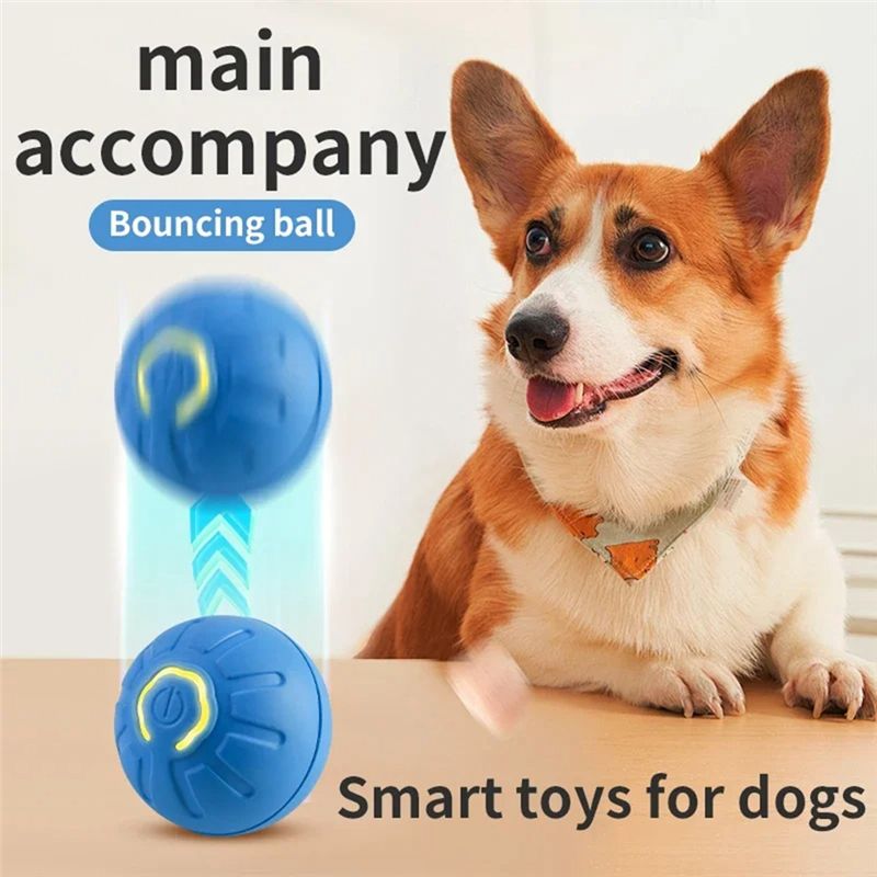 AT84-2PCS Intelligenter Hundeb – Automatic Moving Dog Ball Bewertung und Preis