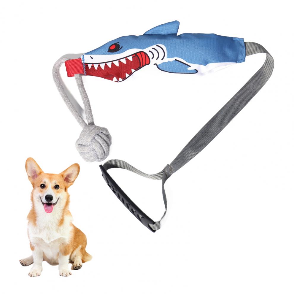 Hai-Seilzugspielzeug mit Saugn – Suction Cup Dog Tug Toy Bewertung und Preis