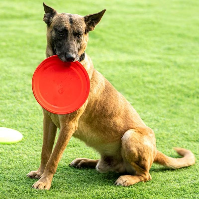 Harte Plastik-Hundefrisbee mit – Flying Disc Dog Training Toy Bewertung und Preis