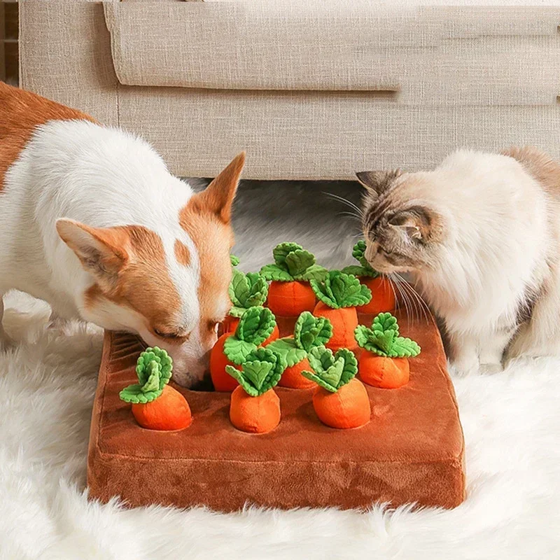 Hundespielzeug Schnüffelmatte  – Snuffle Mat For Dogs Bewertung und Preis