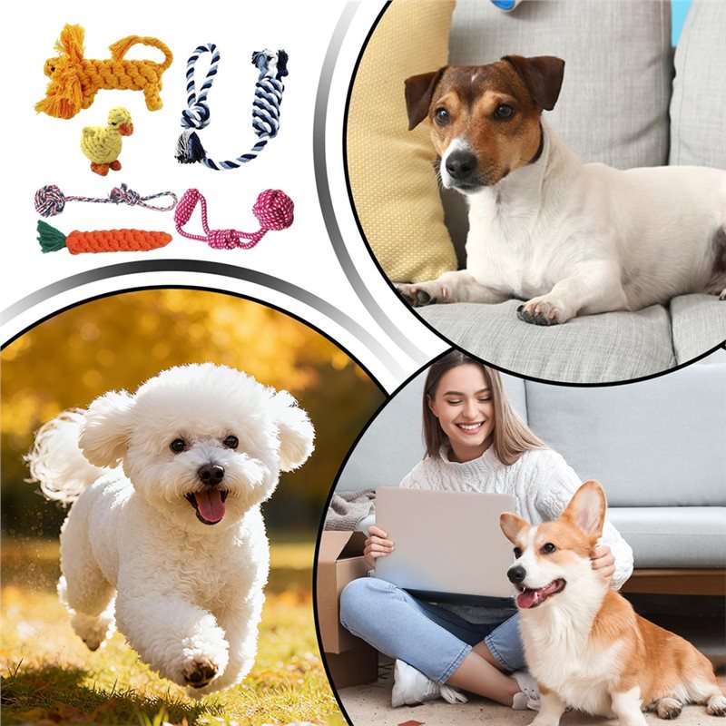 Seil für Hunde, 6 Stück, Baumw – Dog Rope Toy Aggressive Chewers Bewertung und Preis