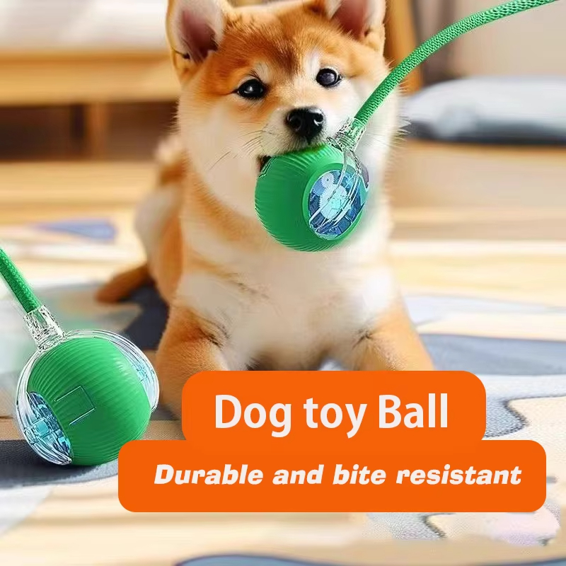 Neuer Interaktiver Hundeball A – Automatic Moving Dog Ball Bewertung und Preis