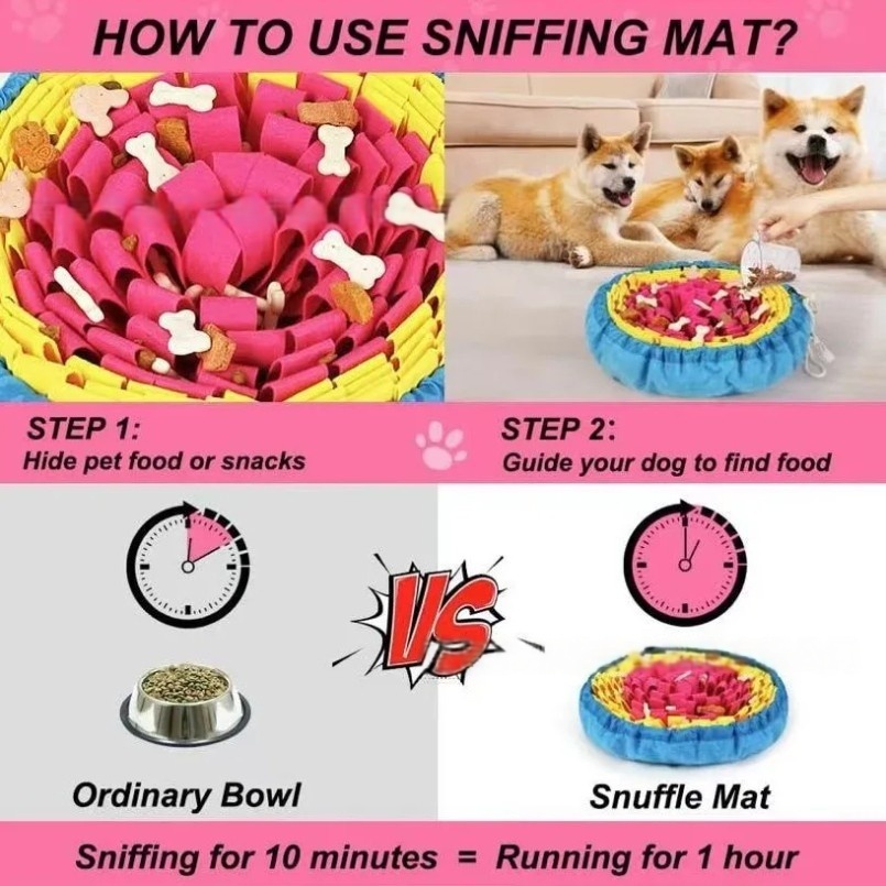 Neue Haustier Schnüffel Pad Bl – Snuffle Mat For Dogs Bewertung und Preis