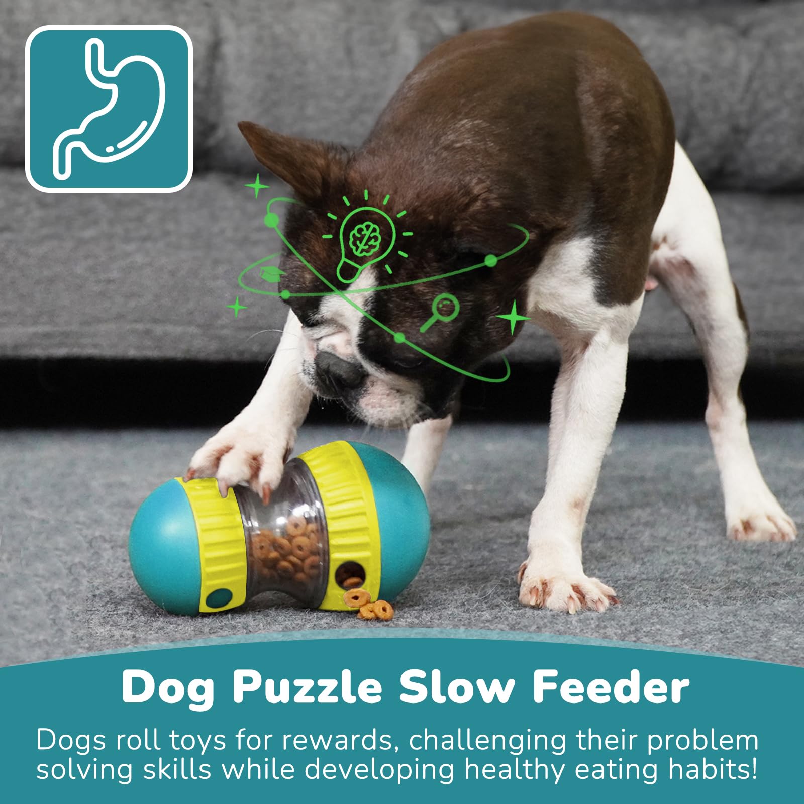 Hundespielzeug und verstellbar – Dog Puzzle Feeder Toy Bewertung und Preis
