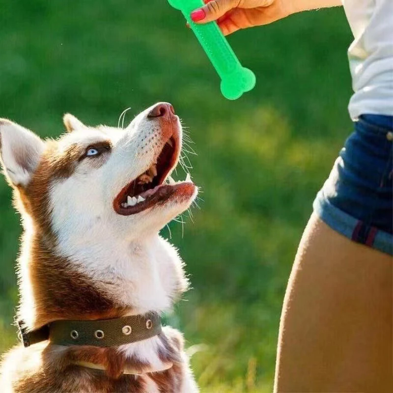 Super robustes Kauspielzeug fü – Teeth Cleaning Dog Chew Bone Bewertung und Preis