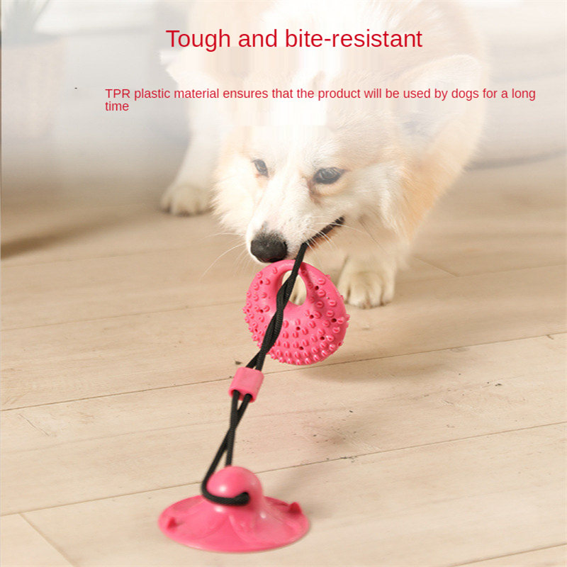 Hundespielzeug, Silikon-Saugna – Suction Cup Dog Tug Toy Bewertung und Preis