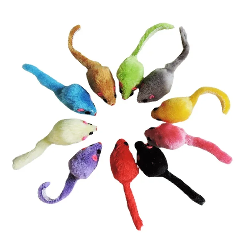 8 Stück Plüsch-Katzenspielzeug – Catnip Interactive Plush Mouse Bewertung und Preis