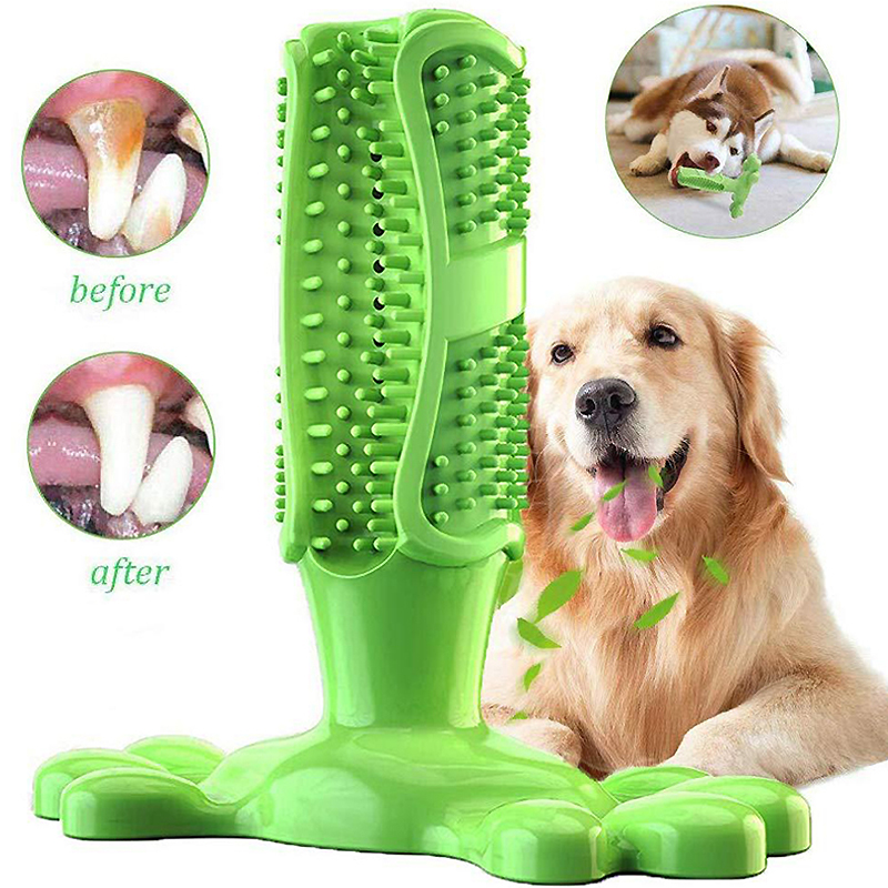 Haustier Hund Kaktus interakti – Rubber Treat Dispensing Dog Toy Bewertung und Preis