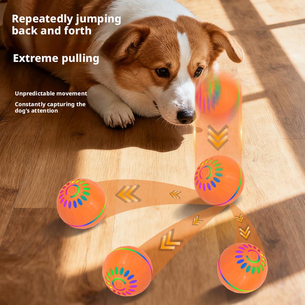 Intelligenter Hundespielzeugba – Automatic Moving Dog Ball Bewertung und Preis