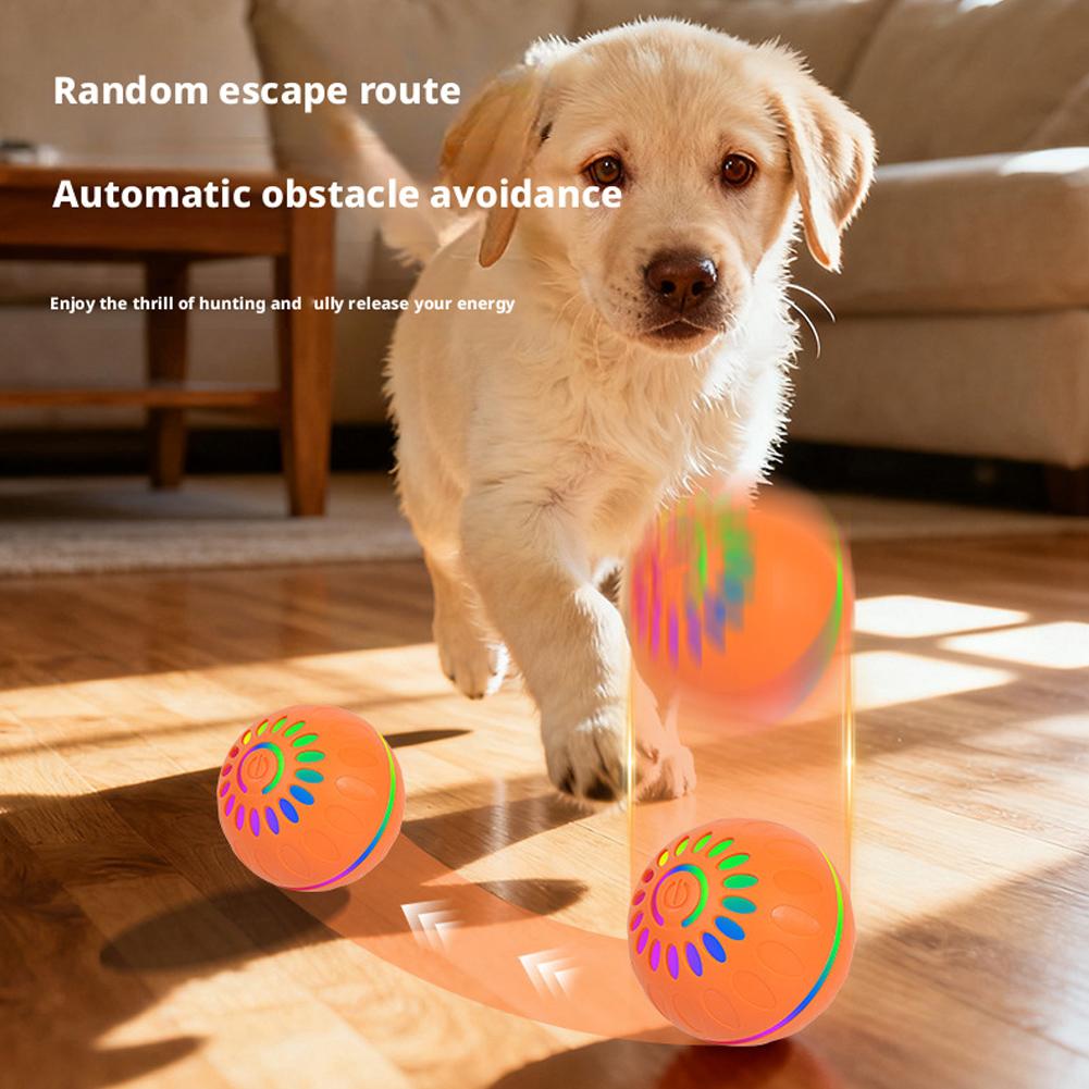 Intelligenter Hundespielzeugba – Automatic Moving Dog Ball Bewertung und Preis