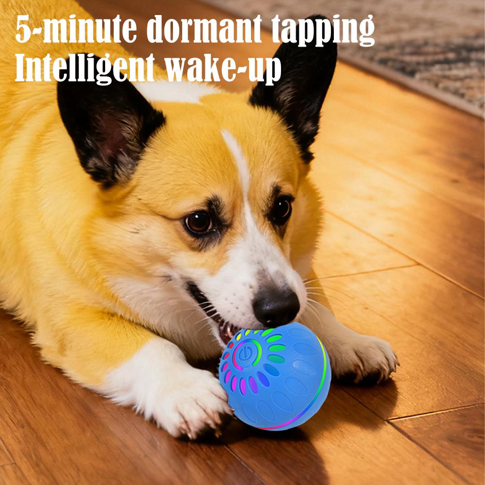 Intelligenter Hundespielzeugba – Automatic Moving Dog Ball Bewertung und Preis