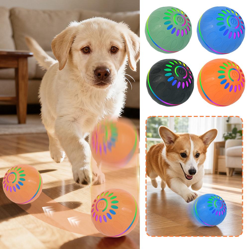 Intelligenter Hundespielzeugba – Automatic Moving Dog Ball Bewertung und Preis