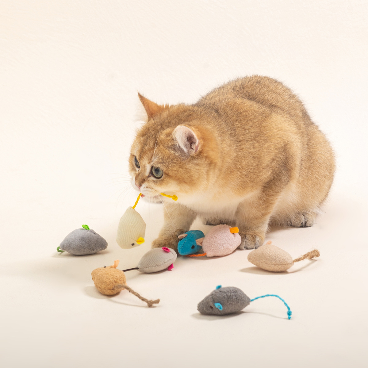 16PCS Interaktive Katze Mäuse  – Catnip Interactive Plush Mouse Bewertung und Preis