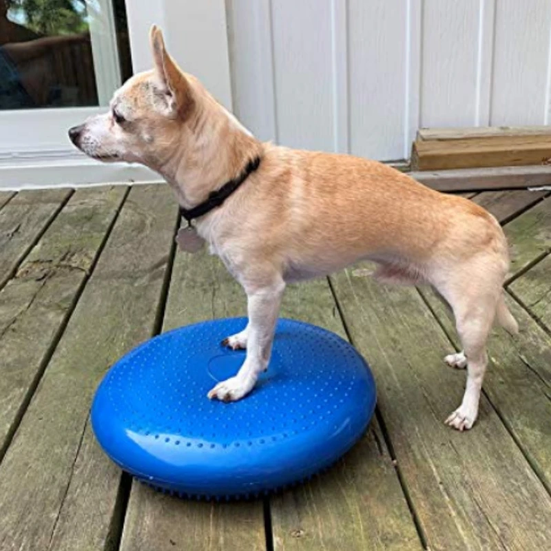 Hunde Trainings hilfen Balance – Flying Disc Dog Training Toy Bewertung und Preis