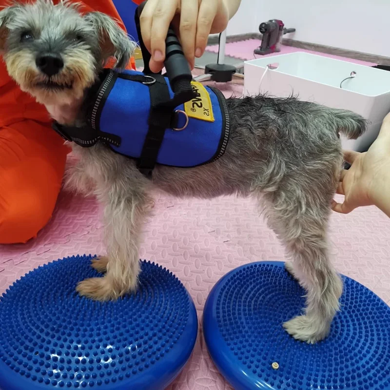 Hunde Trainings hilfen Balance – Flying Disc Dog Training Toy Bewertung und Preis