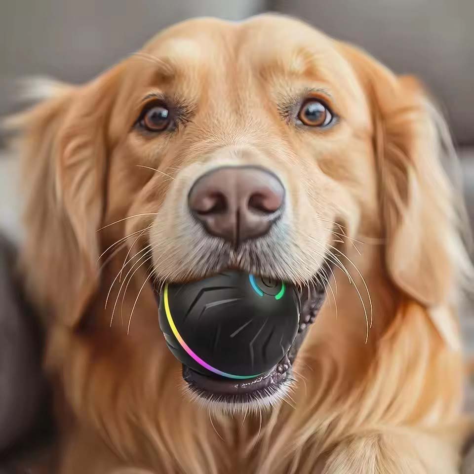 Interaktive intelligente Hunde – Automatic Moving Dog Ball Bewertung und Preis