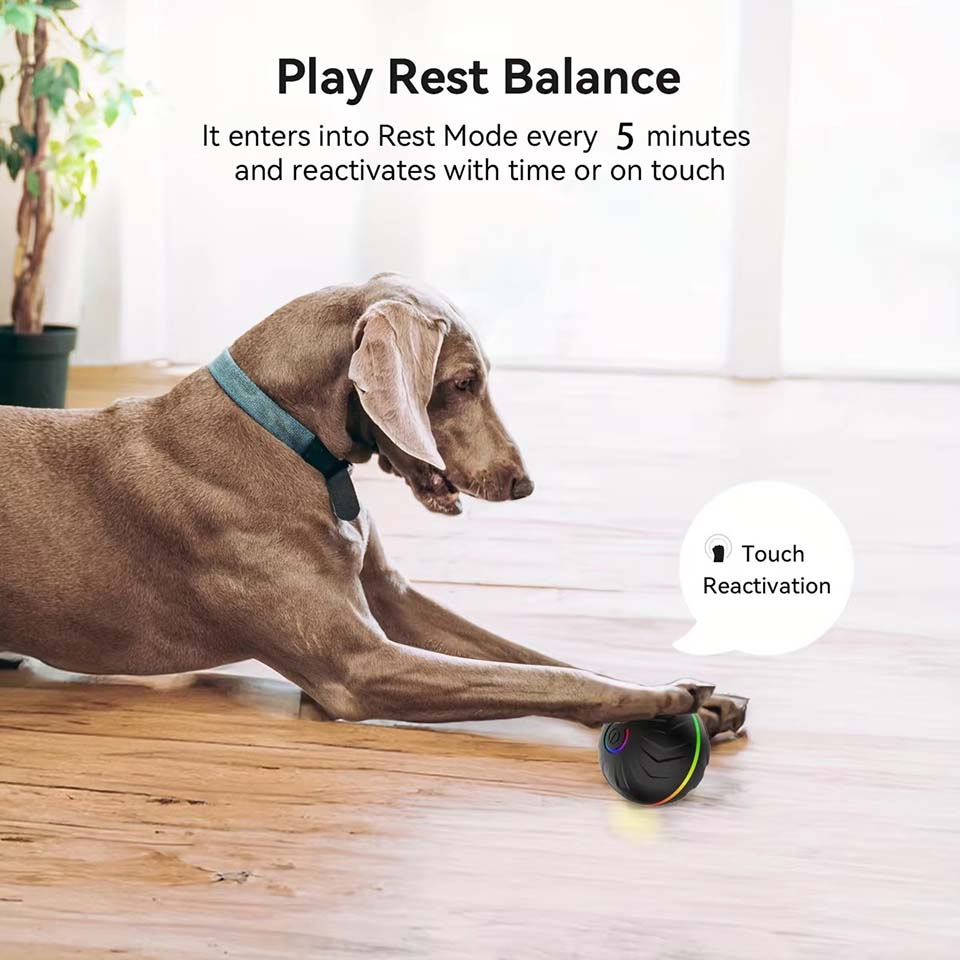 Interaktive intelligente Hunde – Automatic Moving Dog Ball Bewertung und Preis