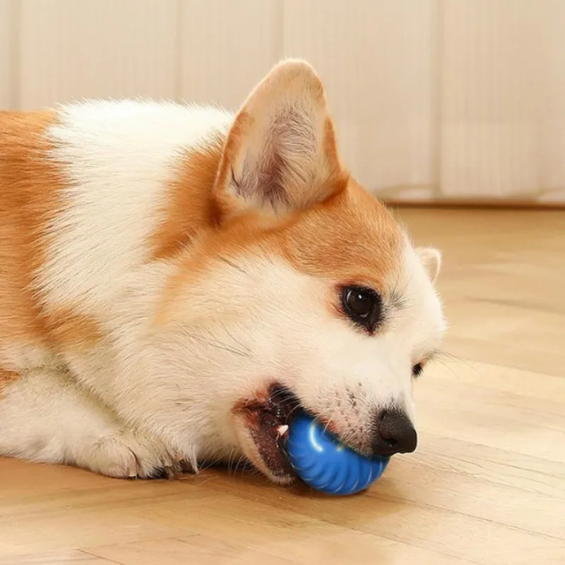SS Haustier-Spielball, Automat – Automatic Moving Dog Ball Bewertung und Preis