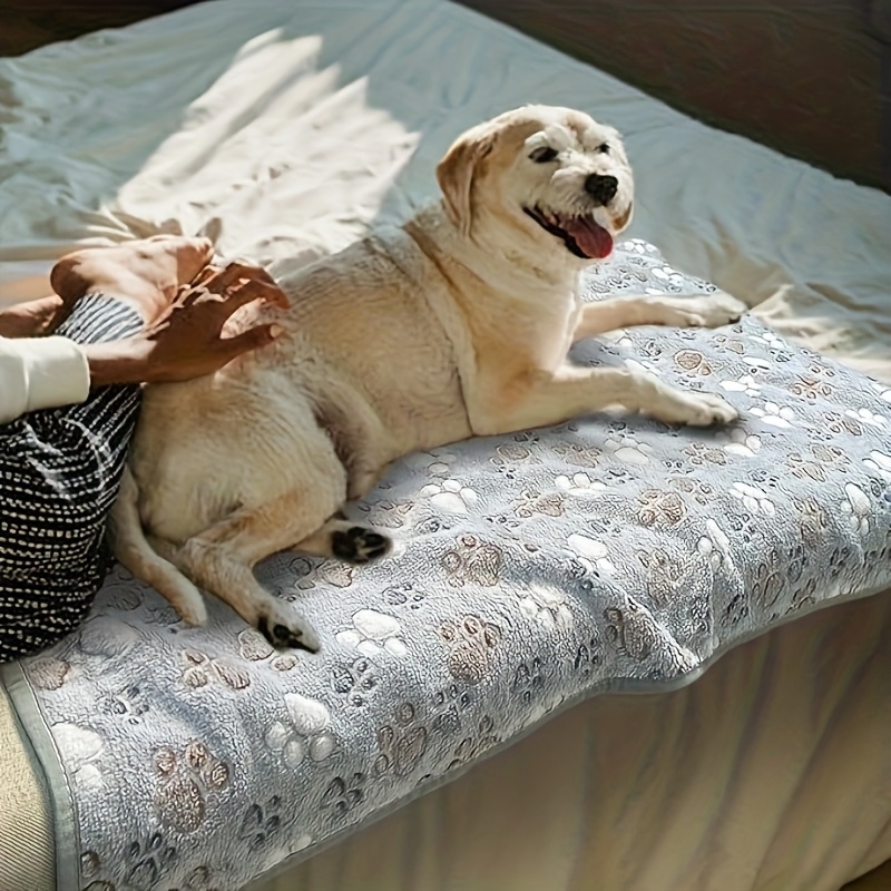 Bequemes Haustierhandtuch, wei – Pet Beds Bewertung und Preis