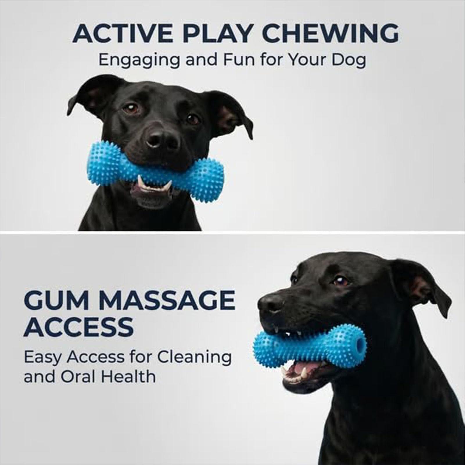 Hundezahnbürstenspielzeug, Kau – Rubber Treat Dispensing Dog Toy Bewertung und Preis