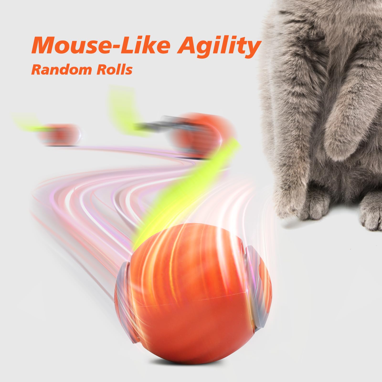 Interaktives Katzenspielzeug,  – Automatic Moving Dog Ball Bewertung und Preis