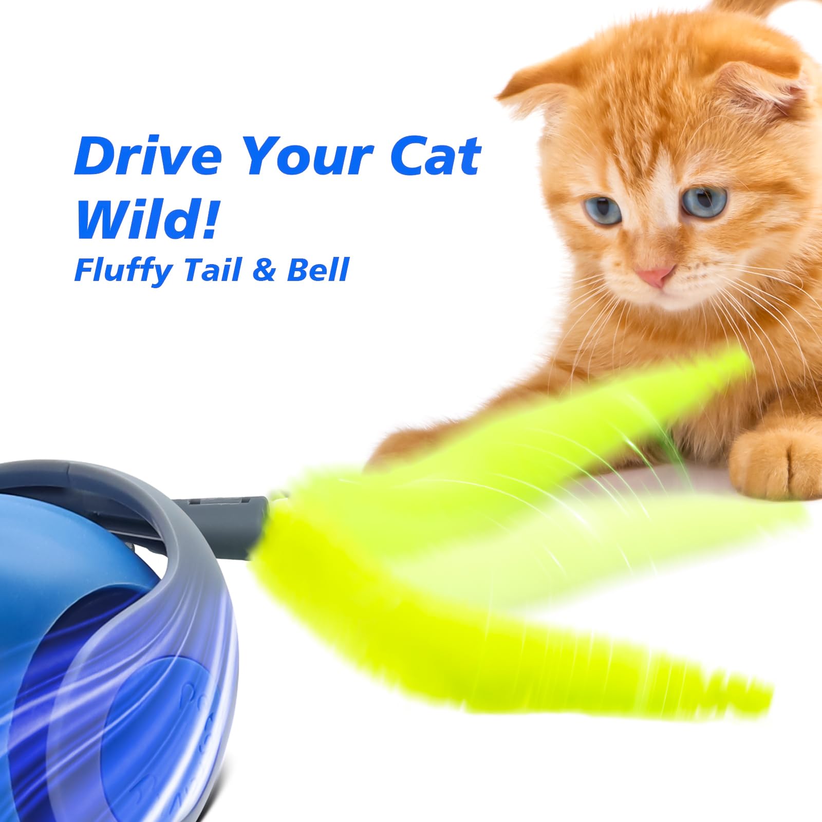 Interaktives Katzenspielzeug,  – Automatic Moving Dog Ball Bewertung und Preis